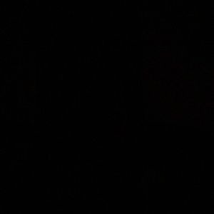 Meet your Posher, Bianca